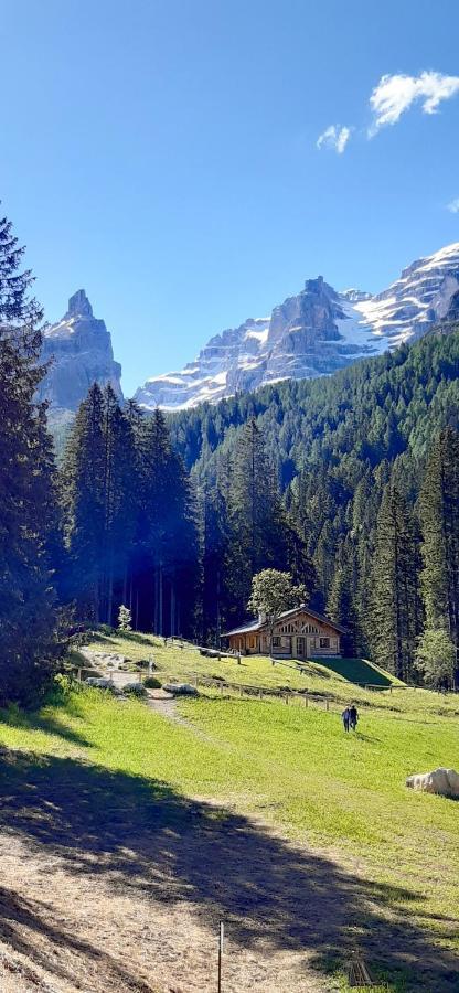 Villa Chalet Brenta Dolomites Madonna Exterior foto