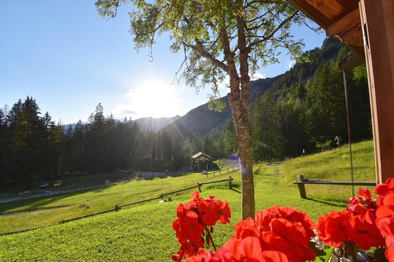 Villa Chalet Brenta Dolomites Madonna Exterior foto