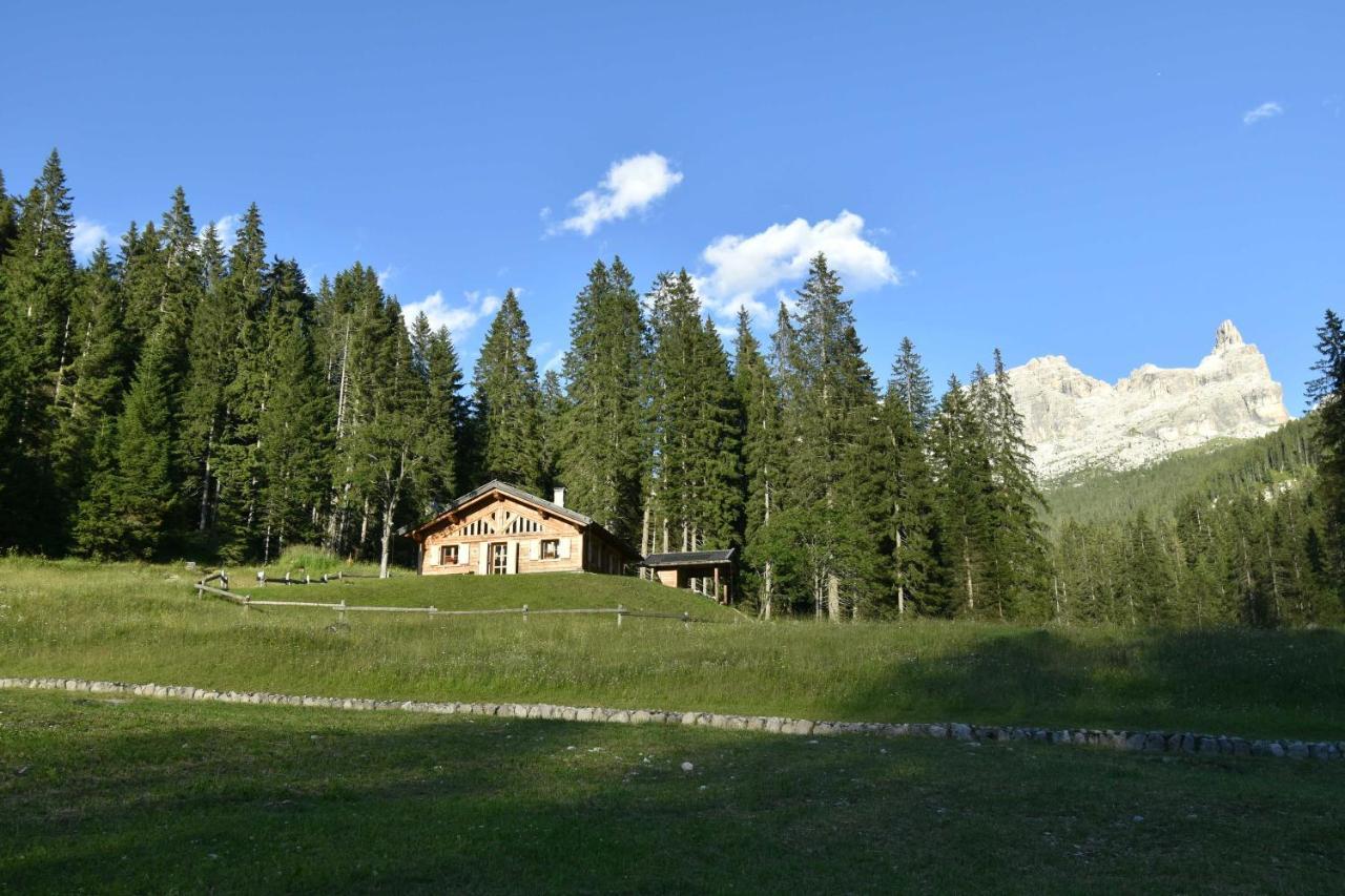 Villa Chalet Brenta Dolomites Madonna Exterior foto