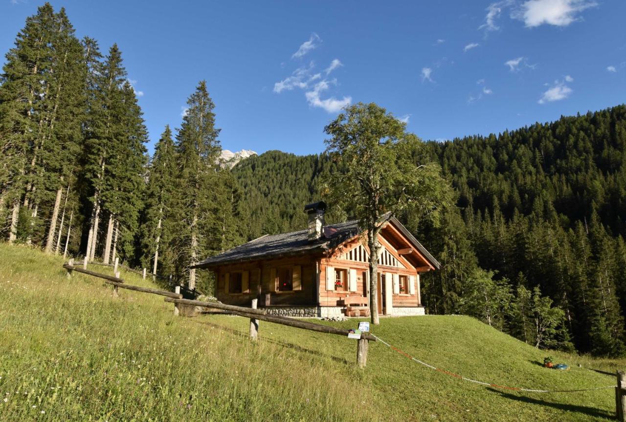 Villa Chalet Brenta Dolomites Madonna Exterior foto