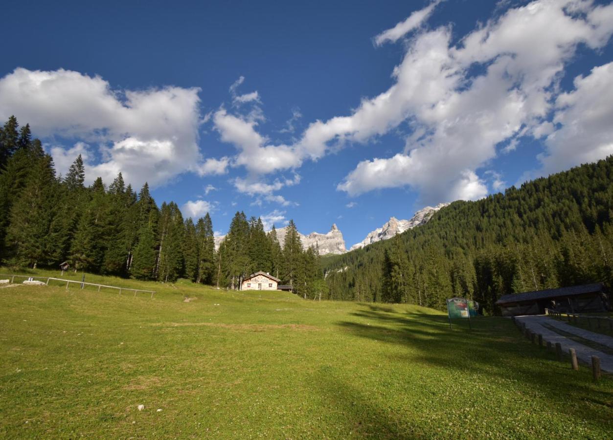 Villa Chalet Brenta Dolomites Madonna Exterior foto