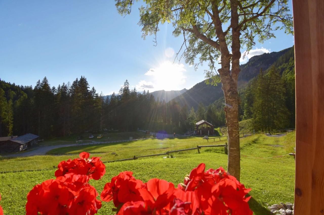 Villa Chalet Brenta Dolomites Madonna Exterior foto