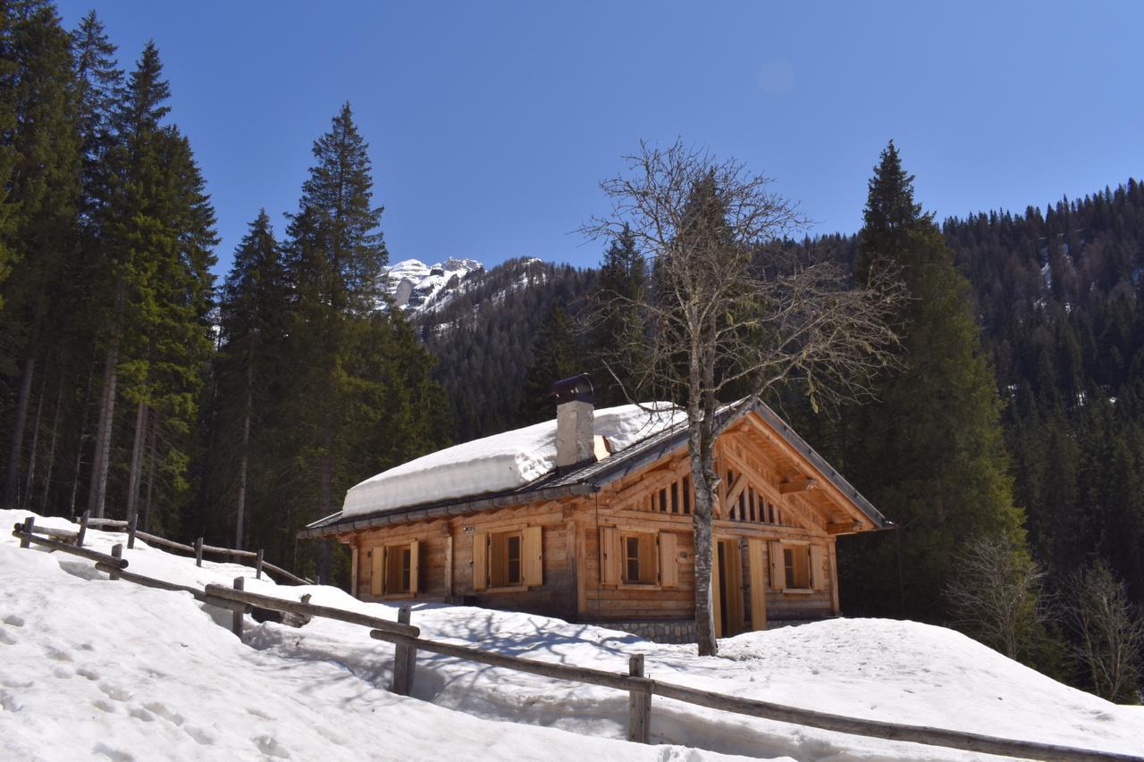 Villa Chalet Brenta Dolomites Madonna Exterior foto