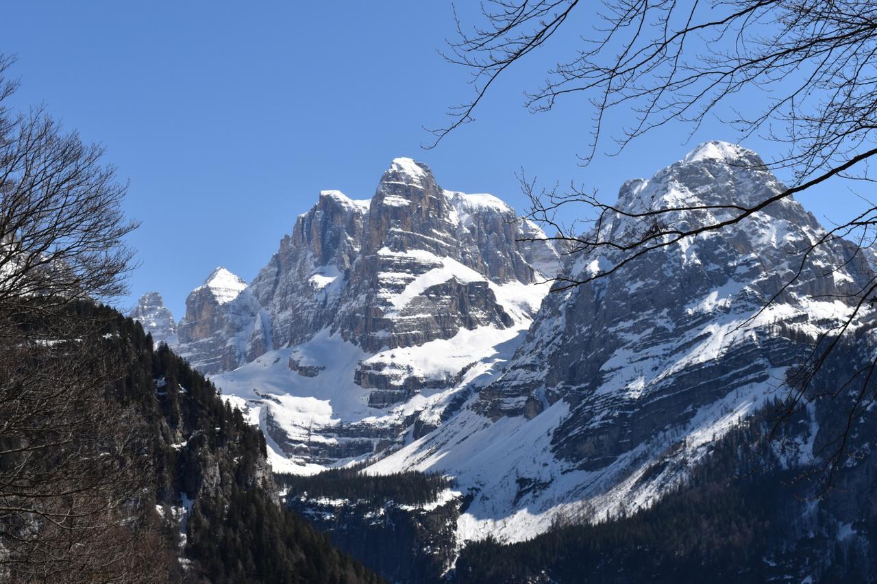 Villa Chalet Brenta Dolomites Madonna Exterior foto