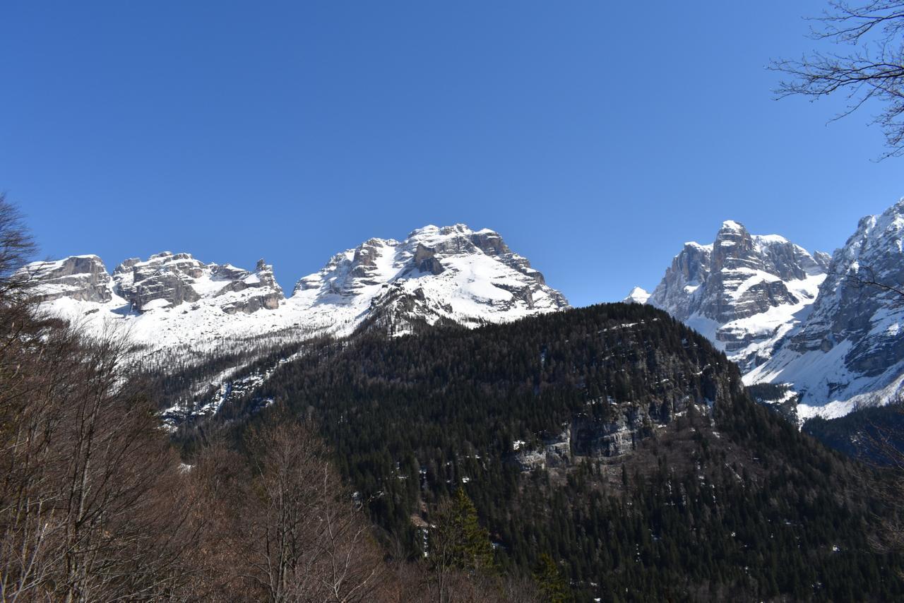 Villa Chalet Brenta Dolomites Madonna Exterior foto