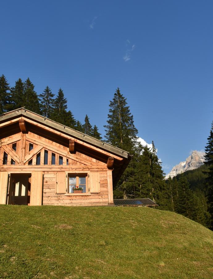 Villa Chalet Brenta Dolomites Madonna Exterior foto