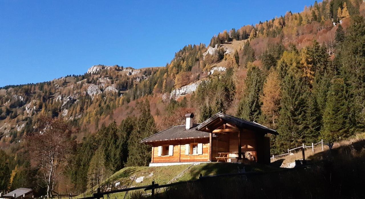 Villa Chalet Brenta Dolomites Madonna Exterior foto