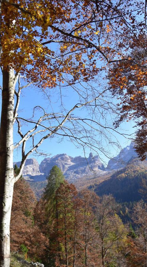 Villa Chalet Brenta Dolomites Madonna Exterior foto